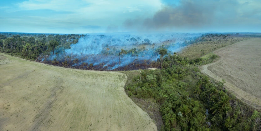 Incêndio ilegal queima árvores florestais na floresta amazônica, Brasil. Vista aérea da área de desmatamento para pastagem, pecuária e agricultura de soja. Conceito de ecologia, meio ambiente e mudanças climáticas.